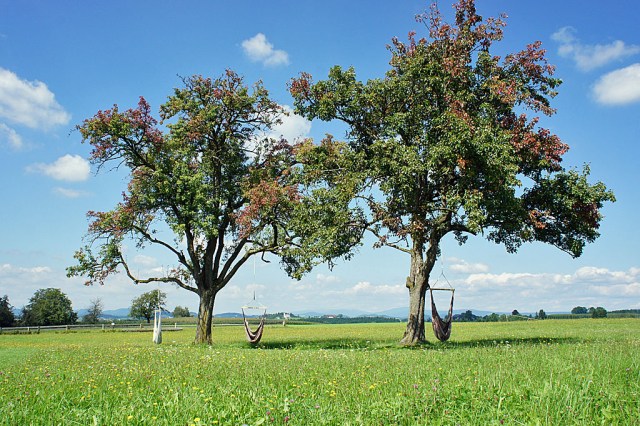 Barfußweg (c) Stern&Kringel