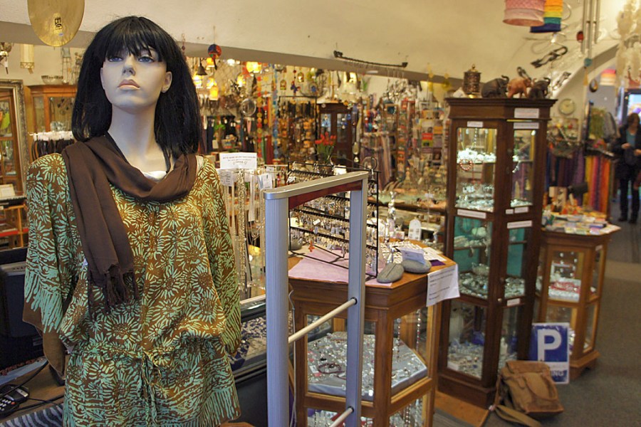 Geko (c) Stern&Kringel