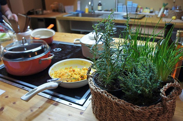 Gemeinsam Kochen (c) Stern&Kringel