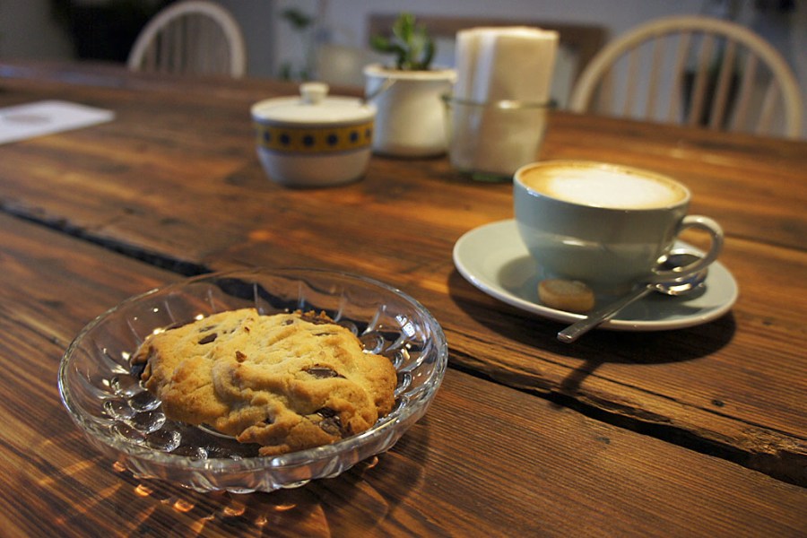 Gerberei (c) Stern&Kringel