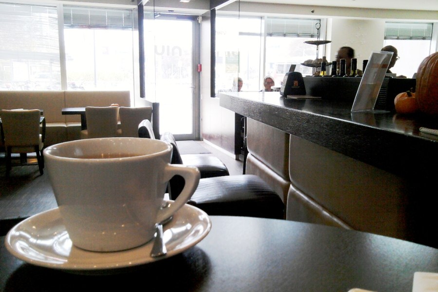 Niu (c) Stern&Kringel