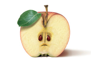 Zu gut für die Tonne App (c) BMEL