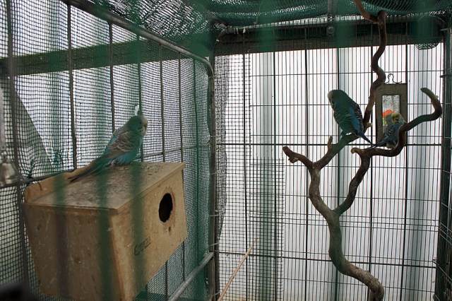 Landgärtnerei Ehmeier (c) Stern&Kringel