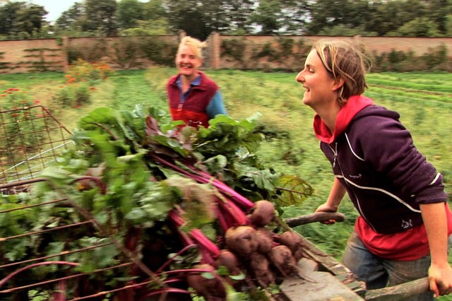 Voices of Transition - Stadtgärtnern (c) Milpa Films