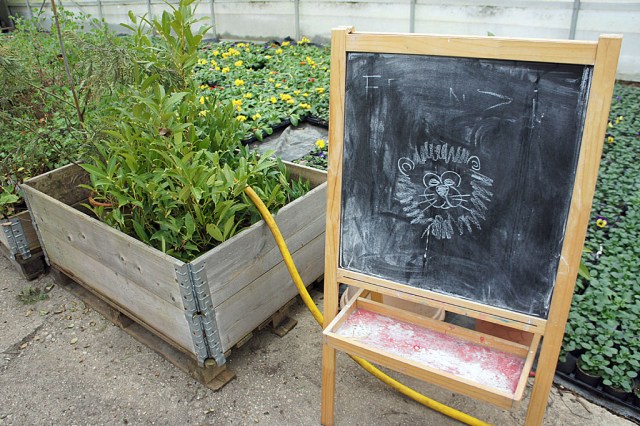 Landgärtnerei Ehmeier (c) Stern&Kringel