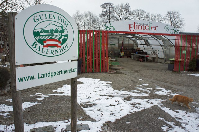Landgärtnerei Ehmeier (c) Stern&Kringel