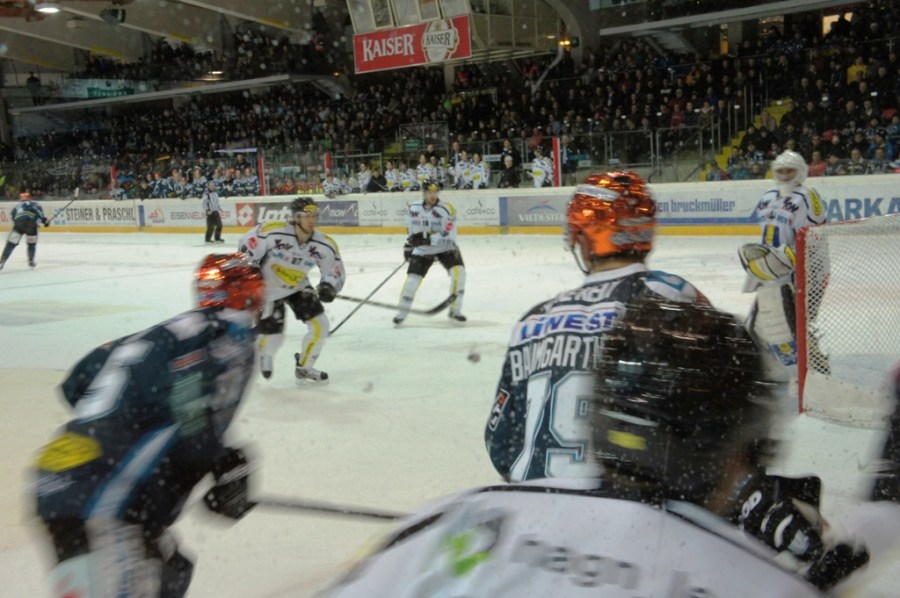 Black Wings in der Eisarena (c) Stern&Kringel