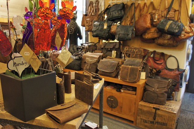 Geko (c) Stern&Kringel