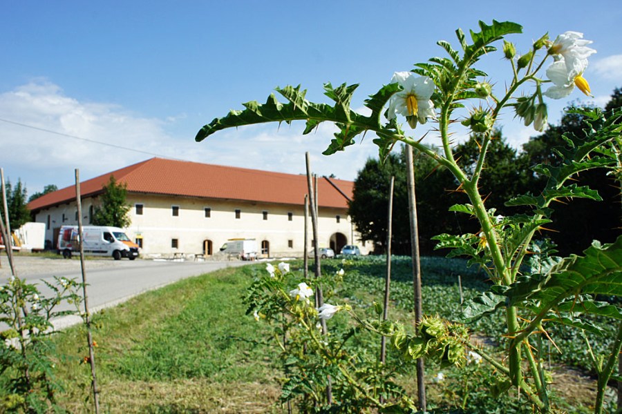 Nachbars Garten (c) Stern&Kringel
